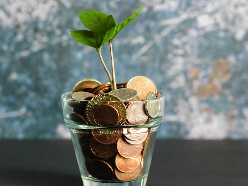 Financial Advisory
